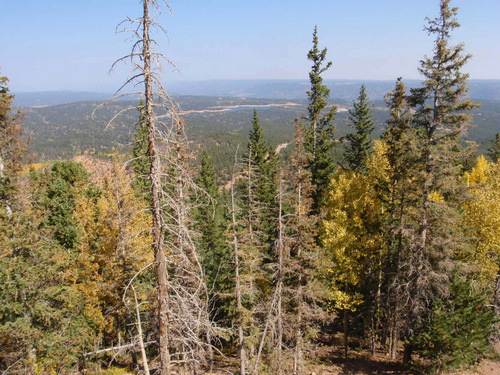 Crystal Creek Reservoir in the distance.